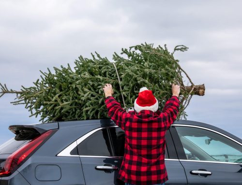Top 5 Auto Repair Services to Get Your Car Ready for the Holidays