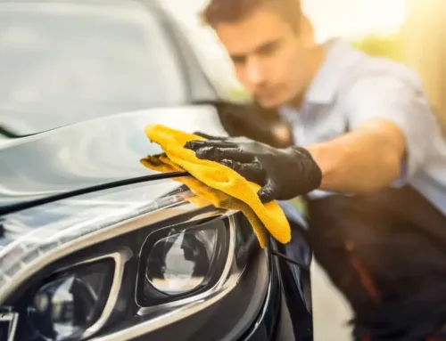 The Ultimate Guide to European Car Care in Florida’s Climate